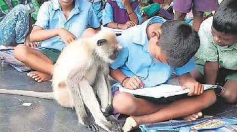 மாணவர்கள் படிப்பதை அமைதியாகக் கவனிக்கும் பள்ளியின் சிறப்பு விருந்தினர்