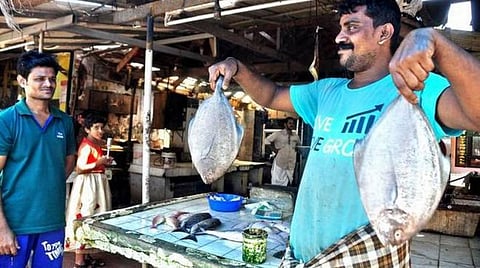 மீன் விற்பனைக்கு புதிய செயலி: விரைவில் பயன்பாட்டுக்கு கொண்டு வர திட்டம்