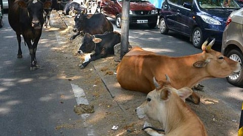 கோப்புப்படம்