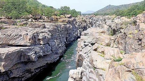 தமிழக அரசின் எதிர்ப்பின் காரணமாக மேகேதாட்டு திட்டத்துக்கு அனுமதி மறுப்பு: மத்திய சுற்றுச்சூழல் அமைச்சகம் உத்தரவு