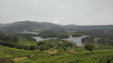 அவலாஞ்சி நீர்ப்பிடிப்பு பகுதியான போர்த்திஹாடா