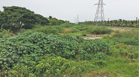 திருப்பூரில் புதர்மண்டி உரிய பராமரிப்பின்றி காணப்படும் நொய்யல் ஆற்றின் கிளை நதியான நல்லாறு.