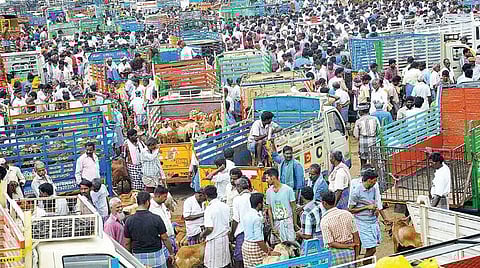 செஞ்சி சந்தையில் ஆடுகளை வாங்க வந்த வியாபாரிகள் மற்றும் இஸ்லாமியர்கள்