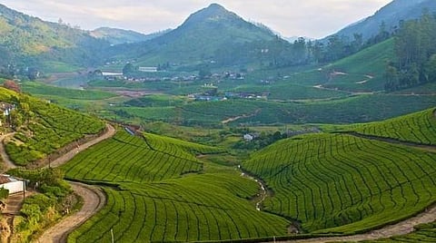 நீலகிரி, கோவை, தேனி மாவட்டங்களில் கனமழை குறையும்: வானிலை ஆய்வு மையம்