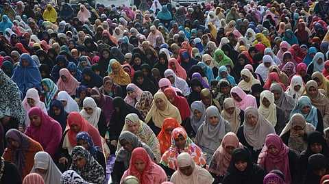 படம்: எல்.சீனிவாசன்