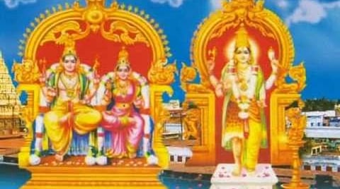 ஆடித்தபசு விழா; நினைத்ததை முடிப்பவள் கோமதி!