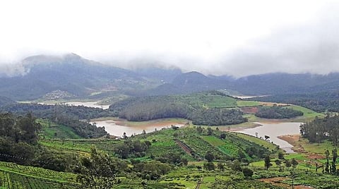 நீலகிரி - சுற்றுலா மண்டலம் அல்ல; சூழல் மண்டலம்! - ஓங்கி ஒலிக்கத் தொடங்கிய கோஷம்