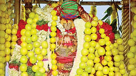 சங்கரன்கோவிலில் ஆடித்தபசு காட்சி ஆயிரக்கணக்கான பக்தர்கள் தரிசனம்