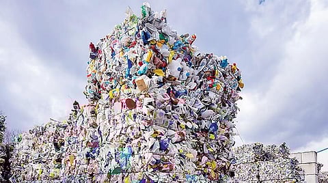 ஞெகிழி பூதம் 29: ஞெகிழித் தடை - நாம் கற்க வேண்டியவை