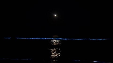 ﻿ஈஞ்சம்பாக்கம் பகுதியில் நீல நிறமாக காட்சி தரும் கடல்﻿: ﻿ஆர்வத்துடன் கண்டுகளிக்கும் பொதுமக்கள்﻿