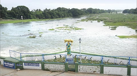 கடைமடைப் பகுதியும் காவிரியைத்தான் நம்பியிருக்கிறது!
