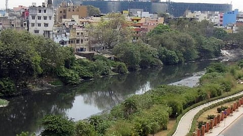 அடையாறு, கூவம், பக்கிங்ஹாம் கால்வாய்களில் கழிவுநீர் கலப்பதை தடுக்க ரூ.2,371 கோடி ஒதுக்கீடு﻿