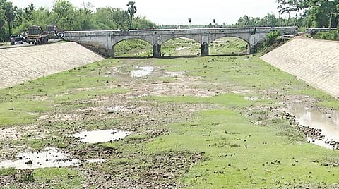 திருவாரூர், நாகை மாவட்ட கடைமடைப் பகுதிகளுக்கு﻿ ﻿மணல் திட்டு அகற்றும் பணியால் தண்ணீர் வருவது தாமதம்﻿: ﻿நீண்டகால நெல் ரகங்களை பயிரிடுவதற்காக காத்திருக்கும் விவசாயிகள்﻿