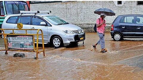 கோவை, நீலகிரி உள்ளிட்ட 4 மாவட்டங்களில் கனமழை பெய்ய வாய்ப்பு﻿: வானிலை ஆய்வு மையம் தகவல்