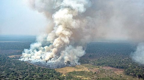 பிரேசில் நாட்டில் அமேசான் காட்டில் தீப்பற்றி உள்ளது. ரொண்டோனியா மாகாணத்தில் உள்ள காட்டுப் பகுதியில் எரியும் தீ காரணமாக அப்பகுதியே புகை மண்டலமாகக் காட்சி அளிக்கிறது.படம்: ஏஎப்பி