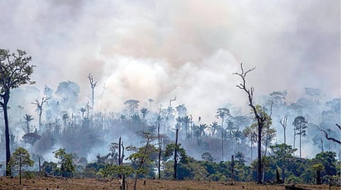 அலசல்: அமேசானும் இந்தியாவும்!﻿