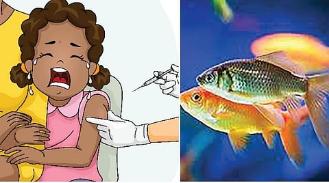 டிங்குவிடம் கேளுங்கள்: குளத்து மீனால் கடலில் வாழ முடியுமா?