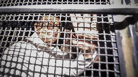 ஐஎன்எக்ஸ் வழக்கு: சிதம்பரத்துக்கு 14 நாள் நீதிமன்ற காவல்: திஹார் சிறையில் அடைப்பு