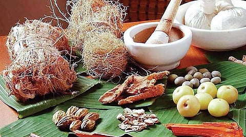 இந்தப் பாடம் இனிக்கும் 11: ஆரோக்கியம் காக்கும் நமது மருத்துவம்