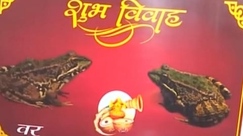 தவளைகளுக்கு திருமணம் செய்துவைக்கப்பட்ட போது அச்சடிக்கப்பட்ட திருமண அழைப்பிதழ் | கோப்புப் படம்