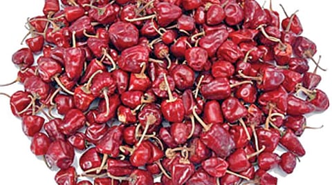 ராமநாதபுரம் முண்டு மிளகாய்.