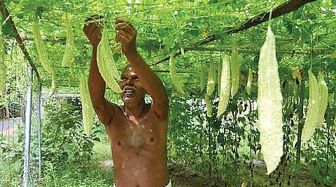 முழுமையாக இயற்கைக்கு மாறிய கிராமம் 