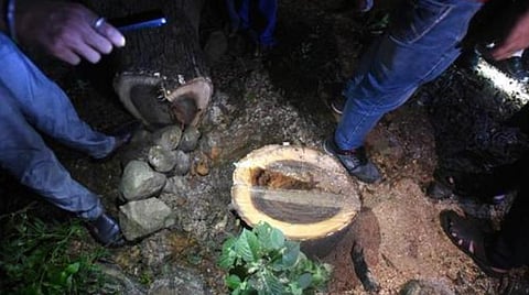 மும்பை ஆரே காலனியில் மரங்கள் வெட்டப்படுவதற்கு பாலிவுட் பிரபலங்கள் எதிர்ப்பு