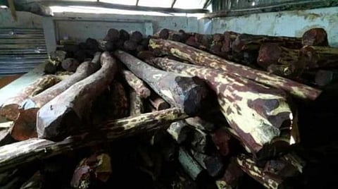 திருமலையில் செம்மரம் கடத்தல்: தருமபுரியை சேர்ந்த 4 பேர் கைது