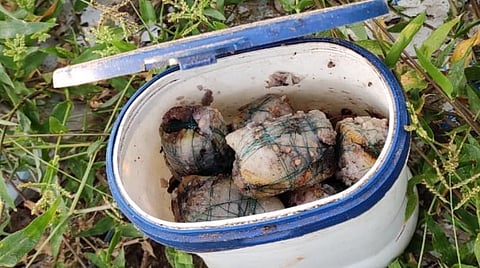 திருட்டு வழக்கில் குற்றவாளிகளைத் தேடிச் சென்றபோது சிக்கிய  நாட்டு வெடிகுண்டுகள்: விருதுநகர் போலீஸார் அதிர்ச்சி