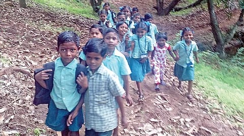 வனப்பகுதி வழியாக பள்ளி செல்லும் பெரியாத்து கோம்பையைச் சேர்ந்த மாணவ, மாணவிகள்.