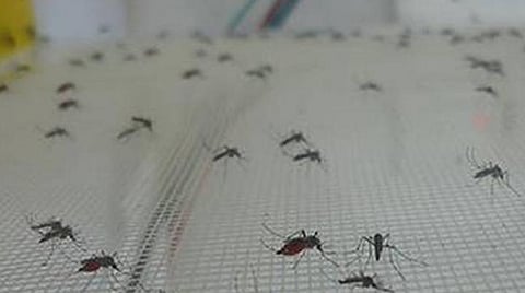 பிரதிநிதித்துவப் படம்