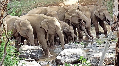 புத்தகம் புதுப்பித்த ஆறு