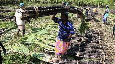 மின் கட்டணம் செலுத்தாத விவசாயிகள் மீது வழக்கு: யோகி தலைமை உ.பி. அரசு மீது விவசாயிகள் கடும் விமர்சனம்