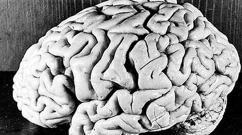 நினைவுகளை மூளை எவ்வாறு நிரந்தரமாகப் பதிவு செய்கிறது?- புதிய ஆய்வில் சுவாரசியமான தகவல்கள்