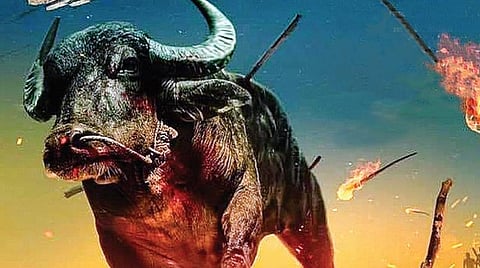 திரைப் பார்வை: ஜல்லிக்கெட்டு  (மலையாளம்) - நினைவில் காடுள்ள மிருகங்களின் கதை