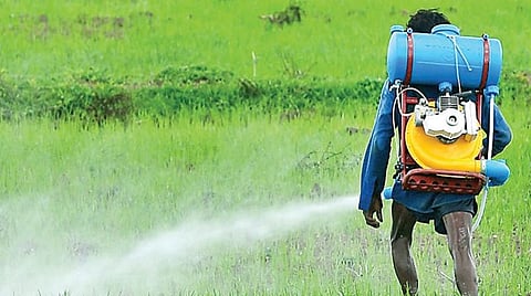 படைப்புழுக்களுக்கு விலையில்லா மருந்து