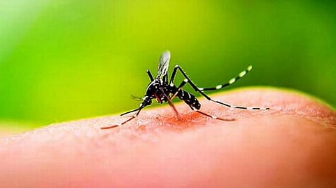 கோப்புப்படம்