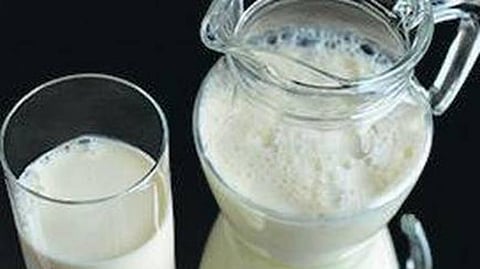 பாலில் அதிக நச்சுத்தன்மை ﻿﻿அரசு அறிக்கை வெளியிட ﻿﻿வணிகர் சங்கம் வலியுறுத்தல்﻿