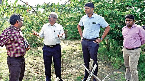 தூத்துக்குடி மாநகராட்சி பசும்பொன் நகர் பகுதியில் அமைக்கப்பட்டுள்ள காட்டு பகுதியை, தமிழ்நாடு நீர்வள ஆதார பாதுகாப்பு மற்றும் ஆறுகள் மறுசீரமைப்பு கழகத்தின் தலைவர் மற்றும் மேலாண்மை இயக்குநர் சத்யகோபால் ஆய்வு செய்தார். படம்: என்.ராஜேஷ்