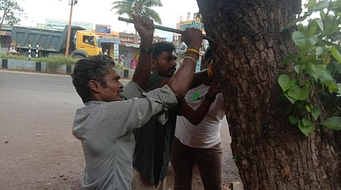 உத்தமபாளையம் பகுதியில் மரத்தில் அறையப்பட்ட ஆணிகளை அகற்றிய தன்னார்வலர்கள்: 20 மரங்களில் இருந்து 7 கிலோ ஆணி நீக்கம்