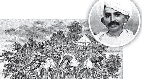 பசுமை நமது வாழ்வுரிமை 11: காந்தியின் முதல் சத்தியாகிரகம்