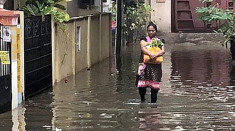 பிரதிநிதித்துவப் படம்