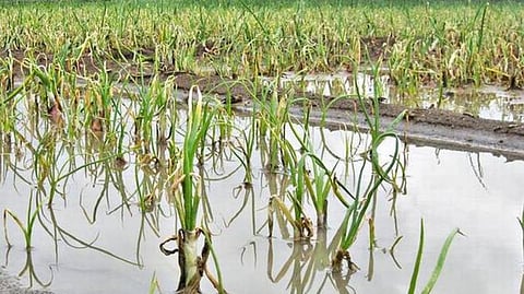 கோப்புப் படம்