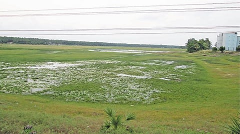 மரக்காணம் அருகே ஏரிமேடு ஏரி நிரம்பாததால் குட்டைபோல் காட்சியளிக்கிறது.