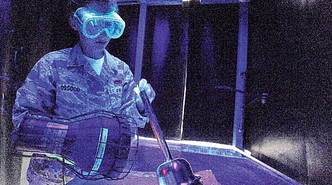 அட்டகாசமான அறிவியல் - 9: விமான விபத்தைத் தடுக்க தாவரவியல் உதவுமா?