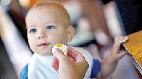 மொழிபெயர்ப்பு: குழந்தைகளுக்கு நிலக்கடலையும் முட்டையும் கொடுத்தால் ஒவ்வாமை வராது!