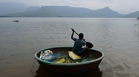 மணிமுத்தாறு அணை