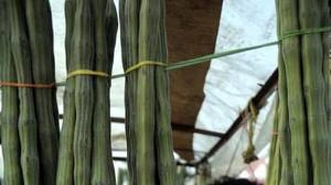 கோப்புப்படம்