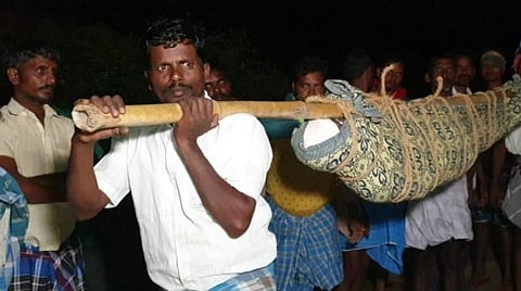 சடலத்தை டோலி கட்டி தூக்கிச் சென்ற அவலம்