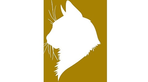 ஒரு பூனையின் தலை